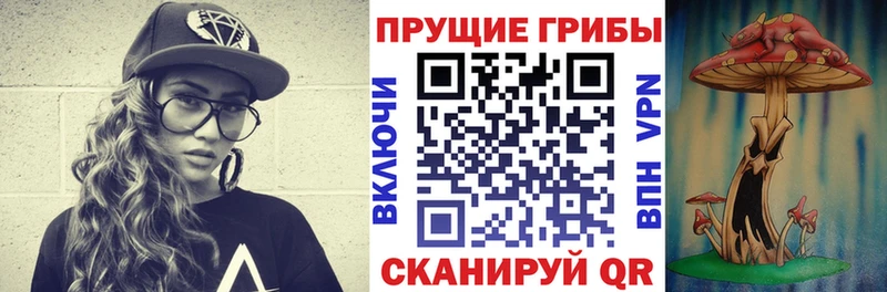 kraken зеркало  сколько стоит  Североуральск  Псилоцибиновые грибы мицелий 